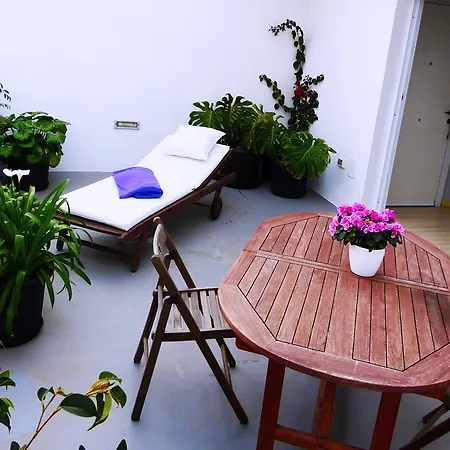 公寓 Atico D'paso House 拉拉古纳