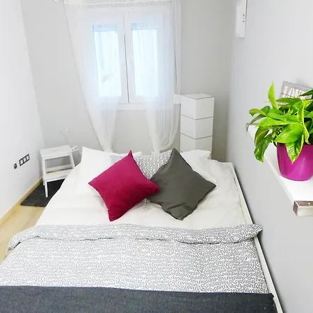 公寓 Atico D'paso House *
